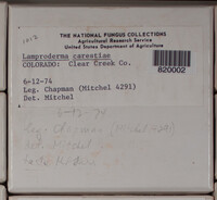Image Associated With the Occurence